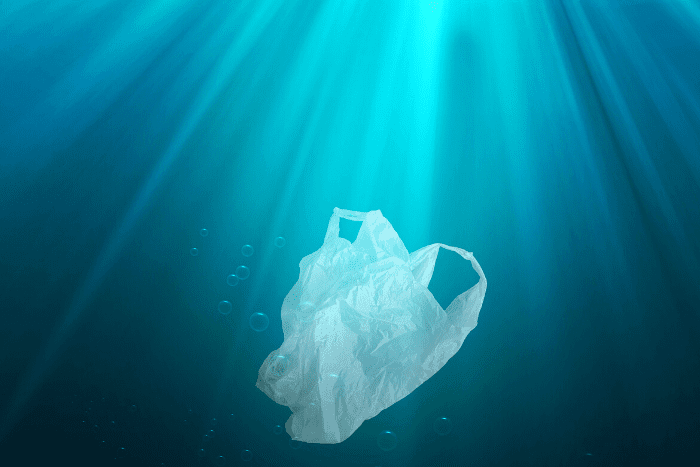 Abu dhabi bans single-use plastics Abu dhabi bans single-use plastics