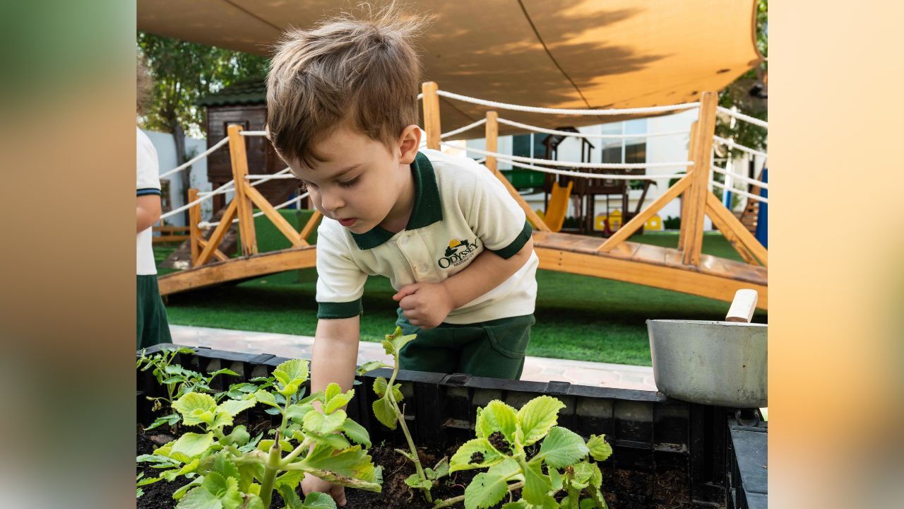 odyssey nursery planting
