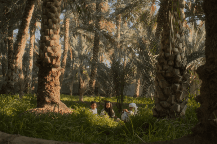 Year of Sustainability 2023 Year of Sustainability 2023