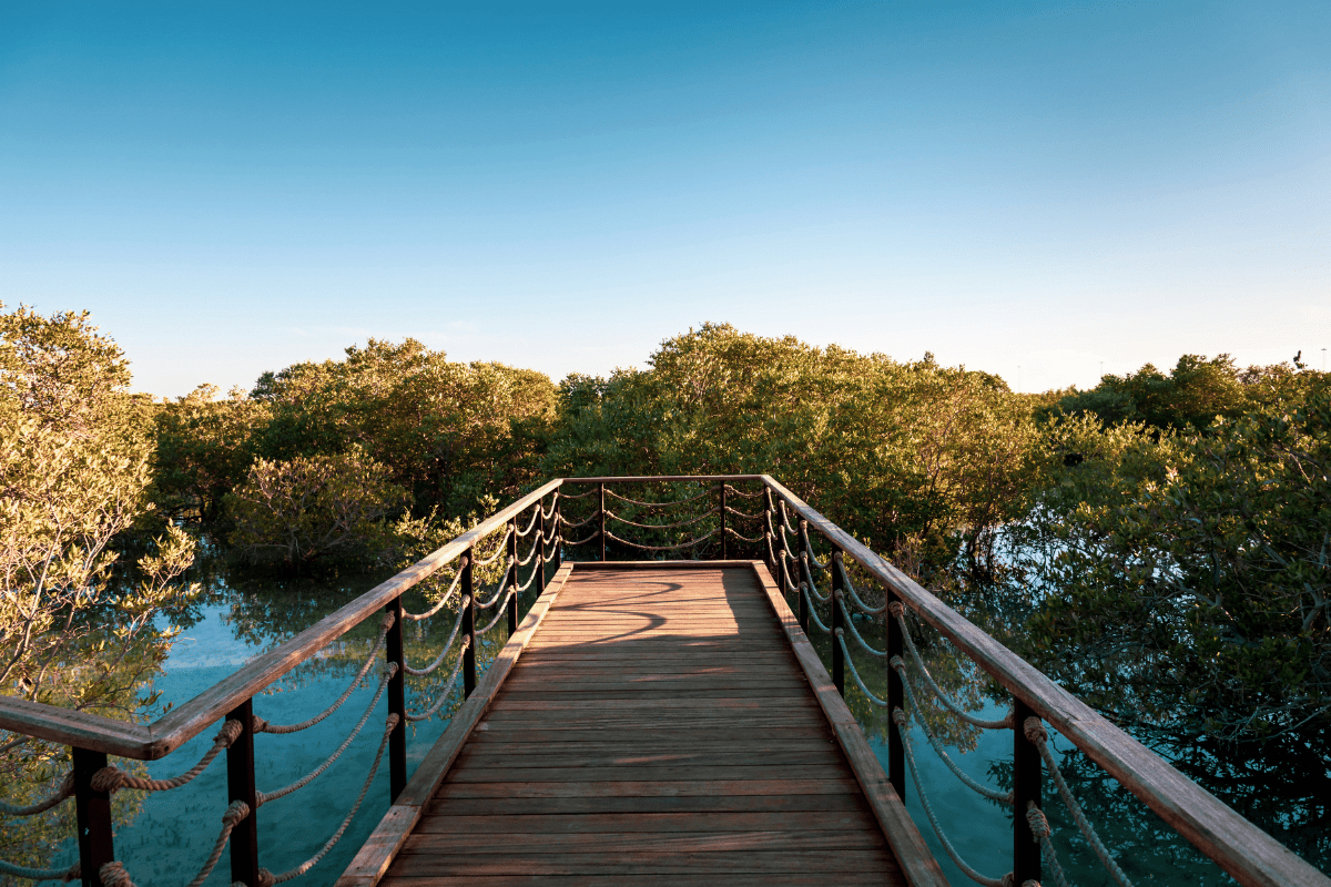 UAE unveils thematic COP28 schedule UAE unveils thematic COP28 schedule