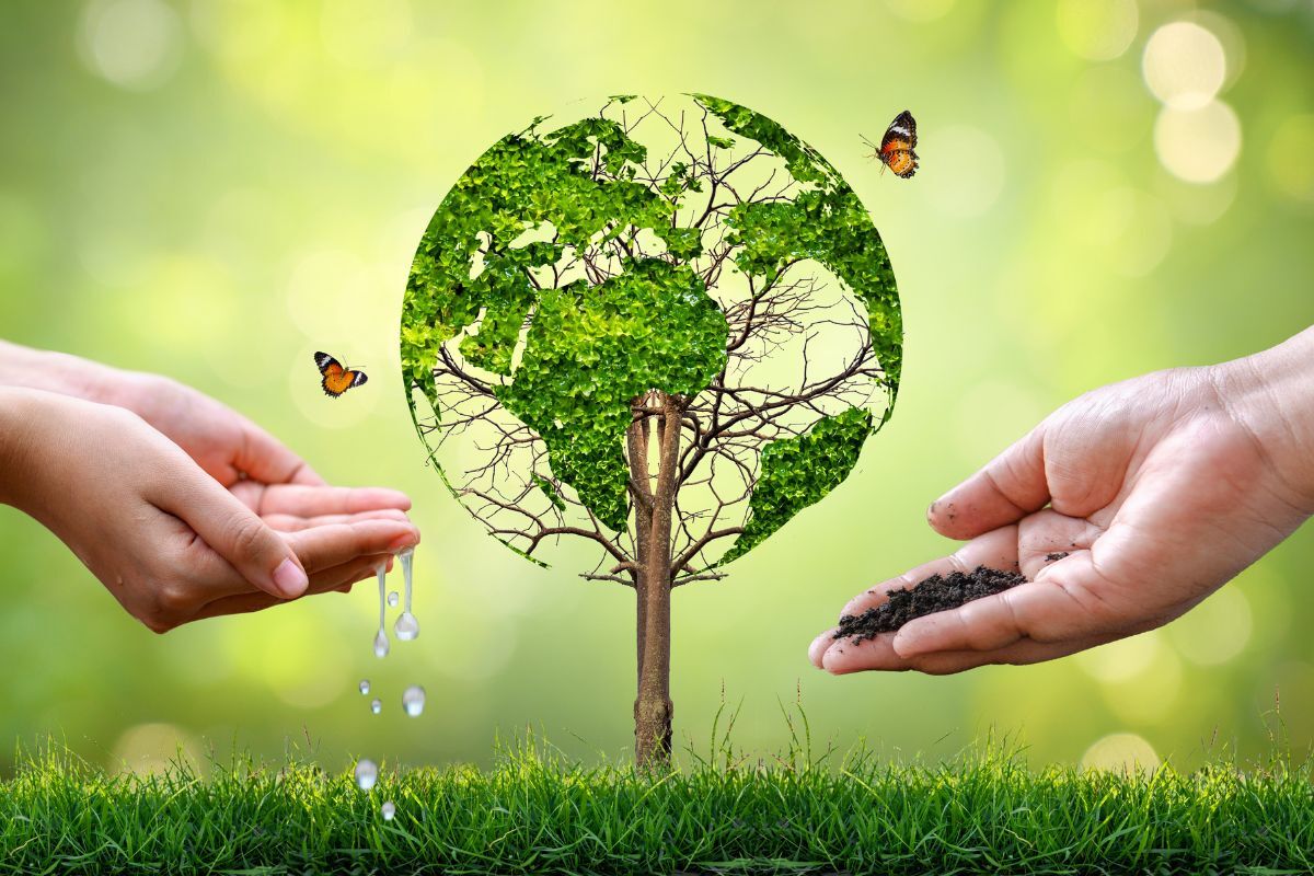 Cop28 members in Abu Dhabi Cop28 members in Abu Dhabi