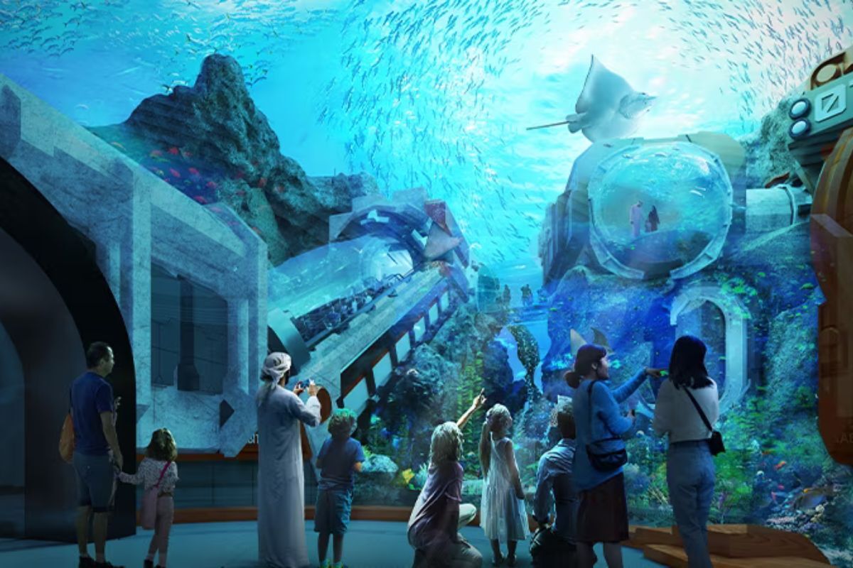 SeaWorld Abu Dhabi SeaWorld Abu Dhabi Shark Talk, SeaWorld Abu Dhabi Yas Island, SeaWorld Abu Dhabi 2023
