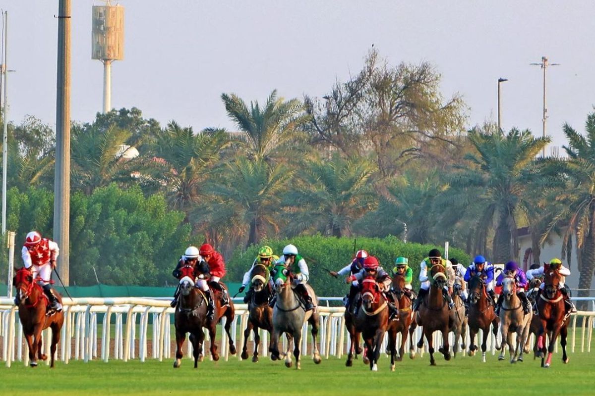 Abu Dhabi Equestrian Club abu dhabi equestrian club, equestrian, horse, horse club, horse club abu dhabi, sports, sports in dubai, dubai sports, Horse racing in Abu Dhabi, Abu Dhabi horse racing,