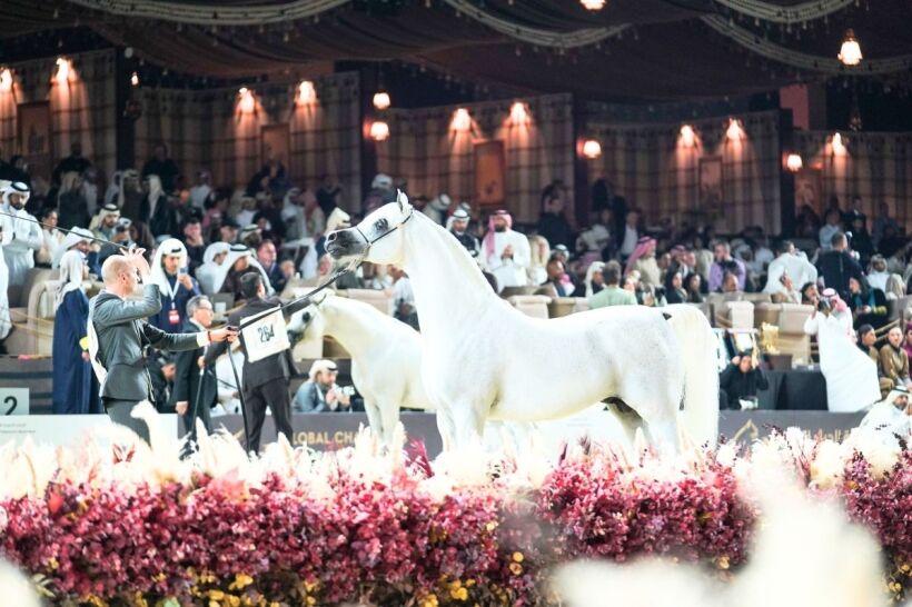 Global Champion Arabians Tours Global Champion Arabians Tour
