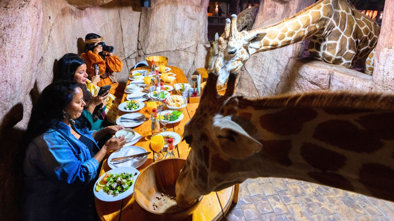 emirates park zoo emirates park zoo