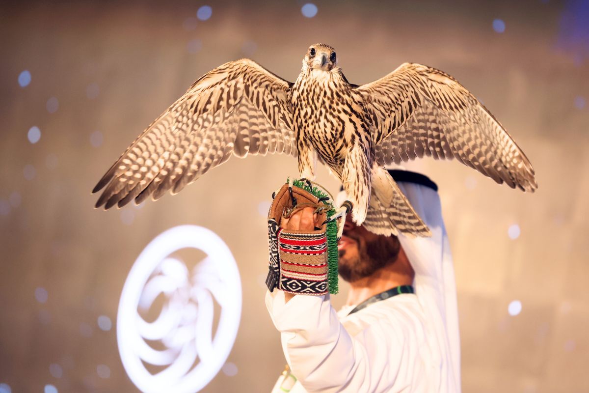 Man holding Falcon for ADIHEX Man holding Falcon for ADIHEX