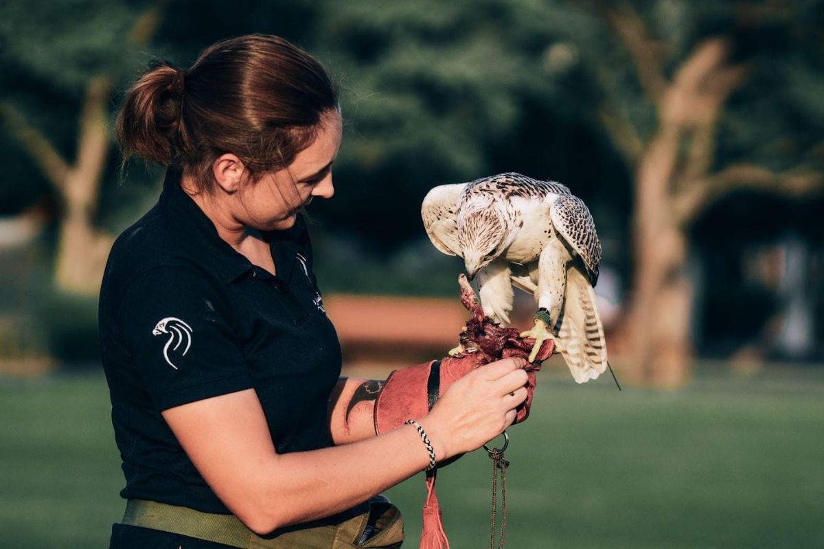 Umm Al Emarat Park Umm Al Emarat Park family fun