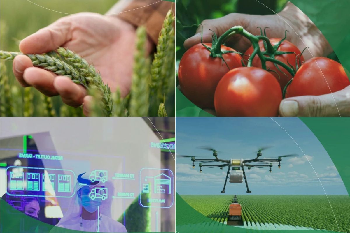 Global Food week Global Food Week in Abu Dhabi