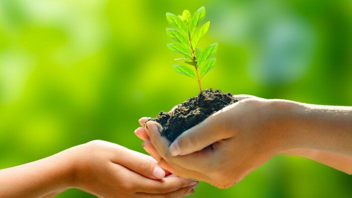 abu dhabi sustainability week 2025 abu dhabi sustainability week 2025