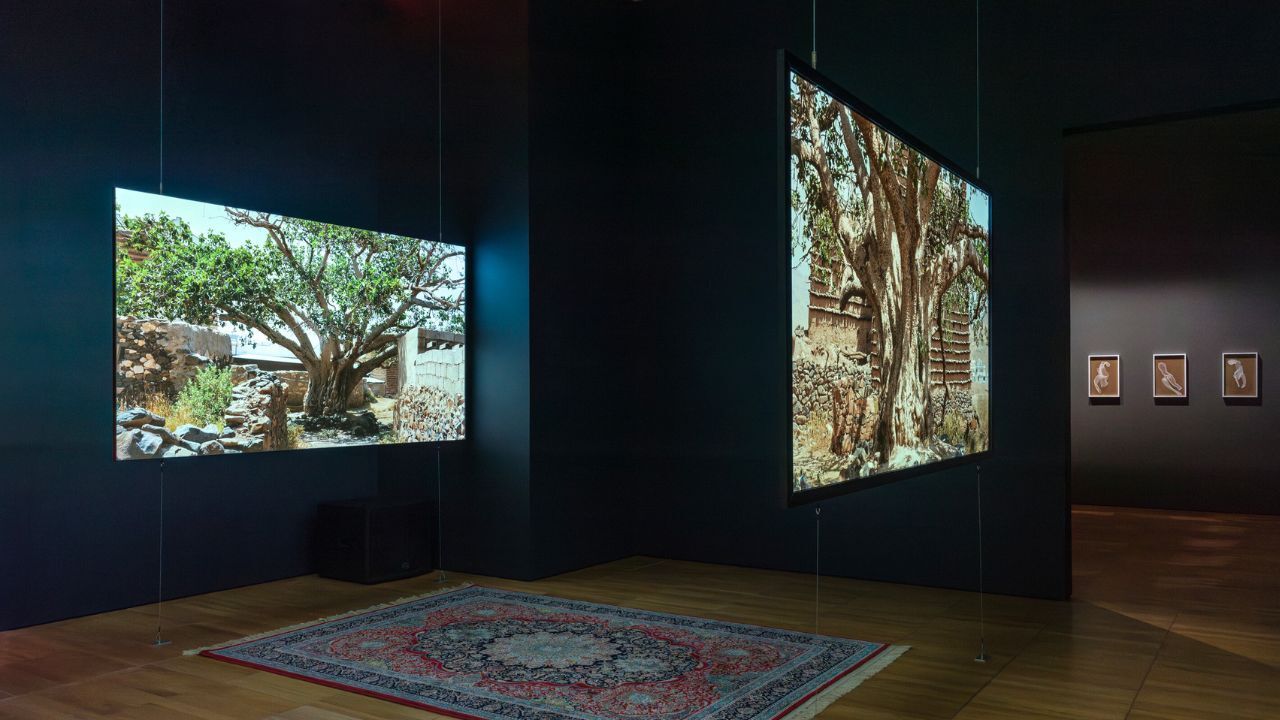 nyu abu dhabi art gallery