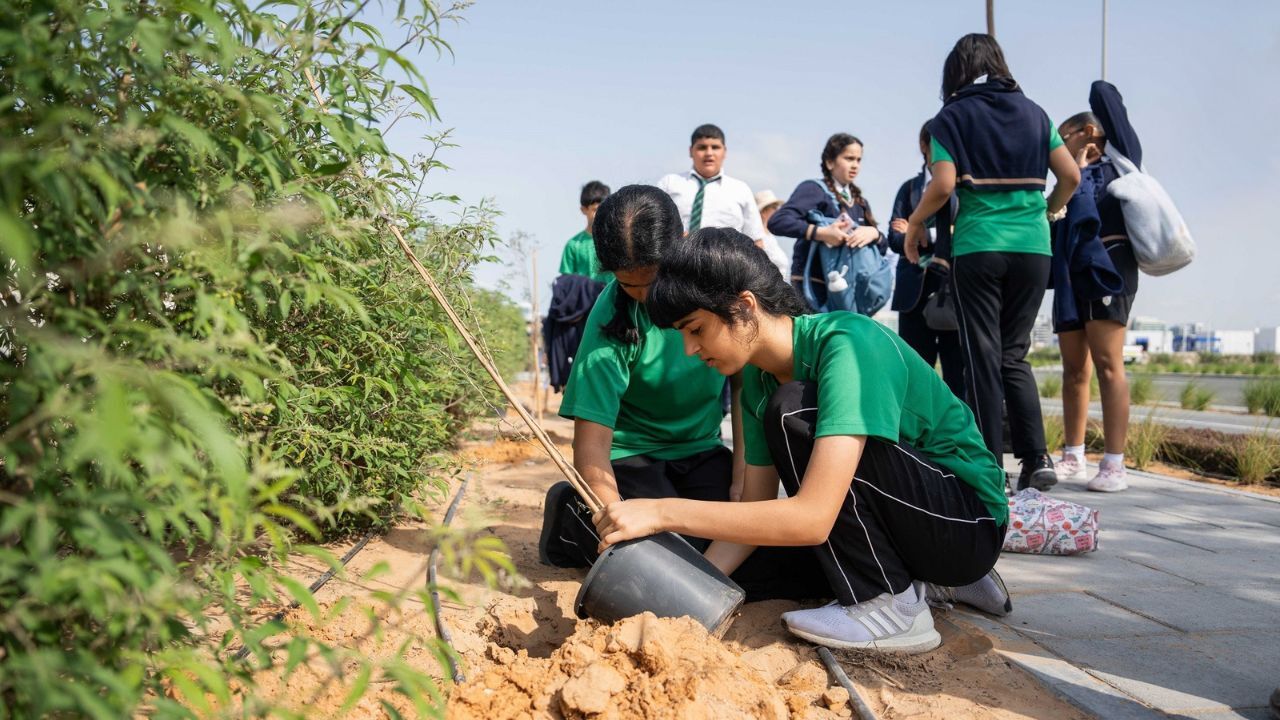 tree planting 300 trees at Al Masar Park in Khalifa City, Abu Dhabi
