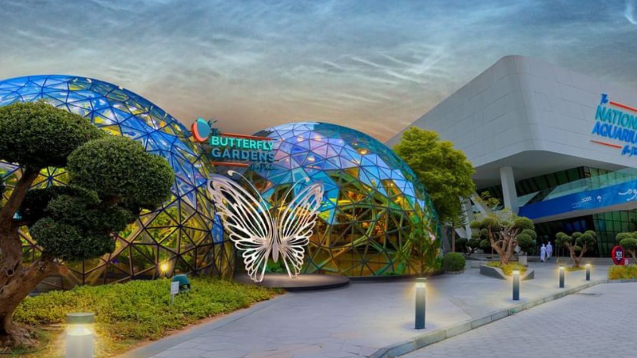 butterfly gardens abu dhabi butterfly sanctuary opening on september