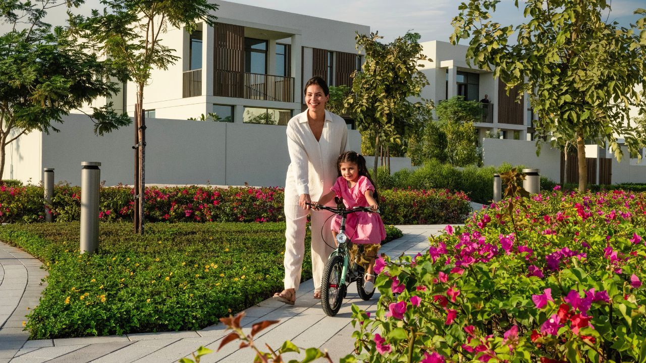 jubail island (4) jubail island