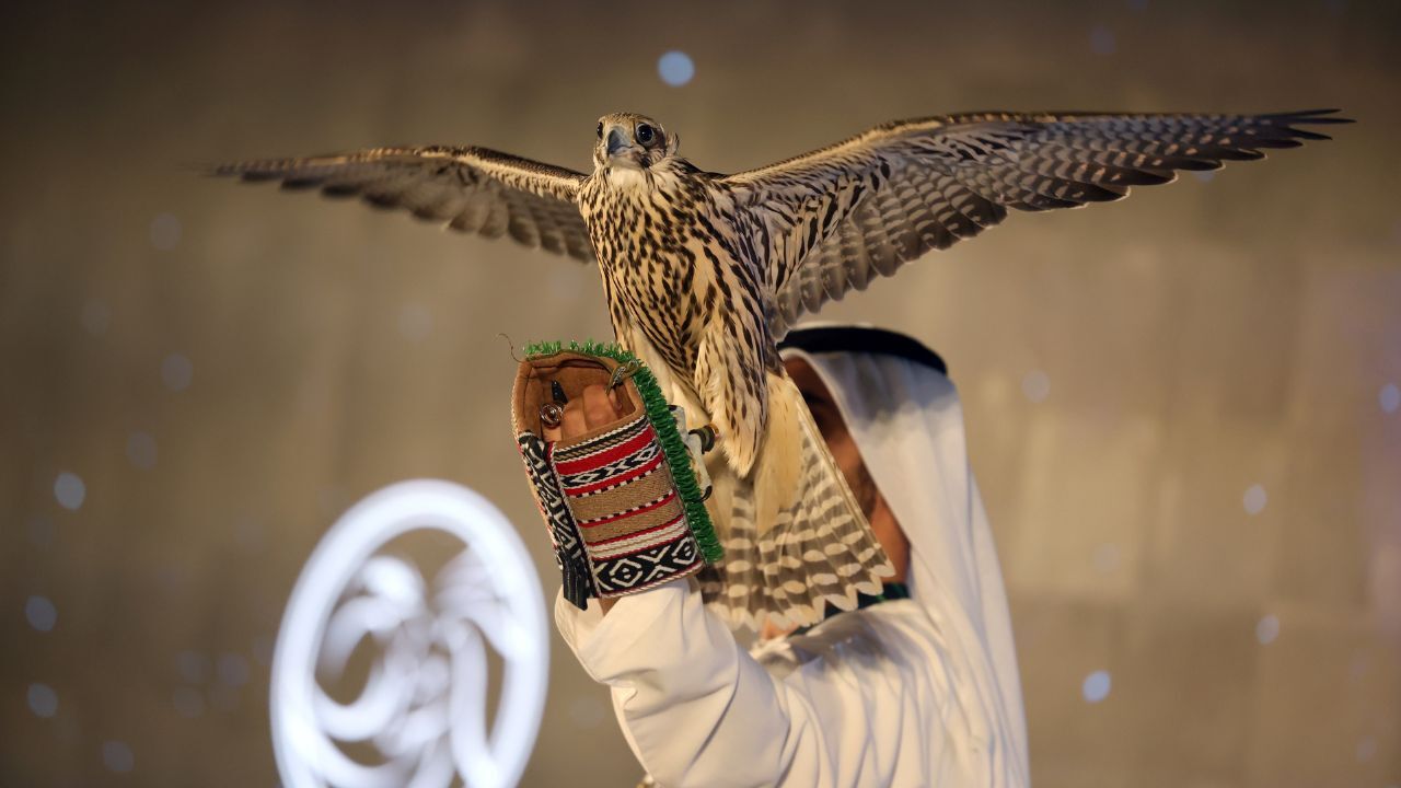 adihex (2) Abu Dhabi International Hunting and Equestrian Exhibition (ADIHEX) 2025