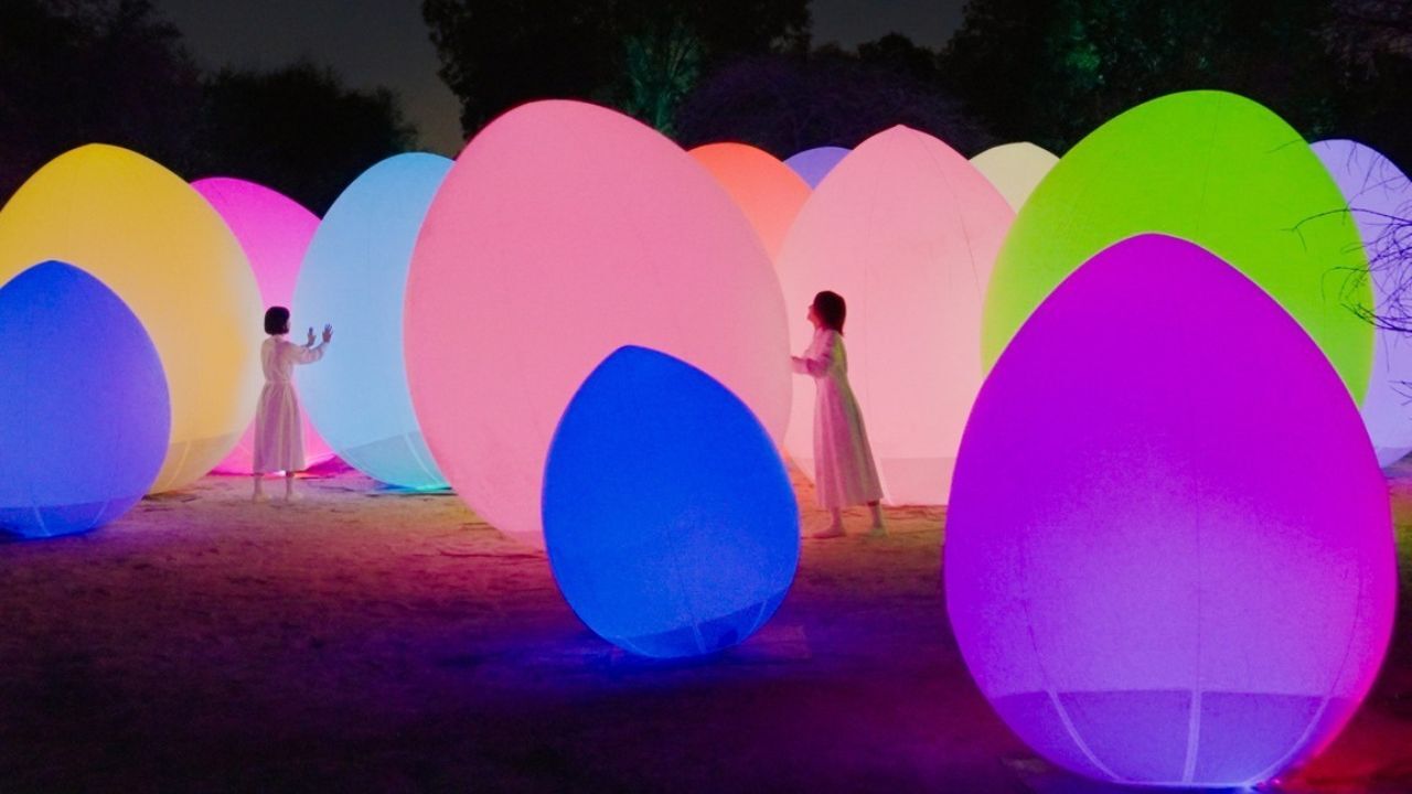 manar abu dhabi 2025