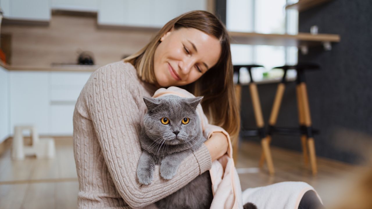 woman playing with her cat and taking care covering it in a blanket and hugging the pet at home
