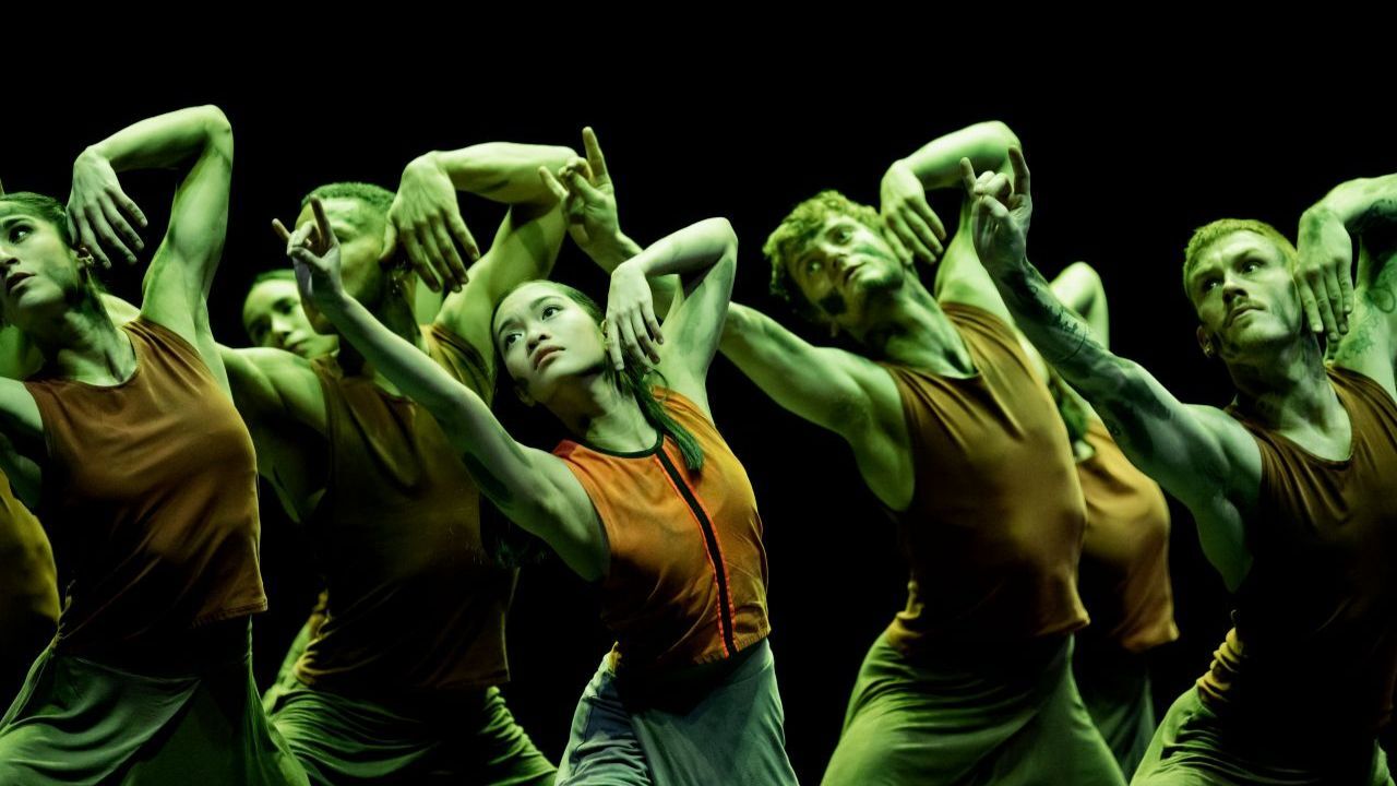 jungle book reimagined