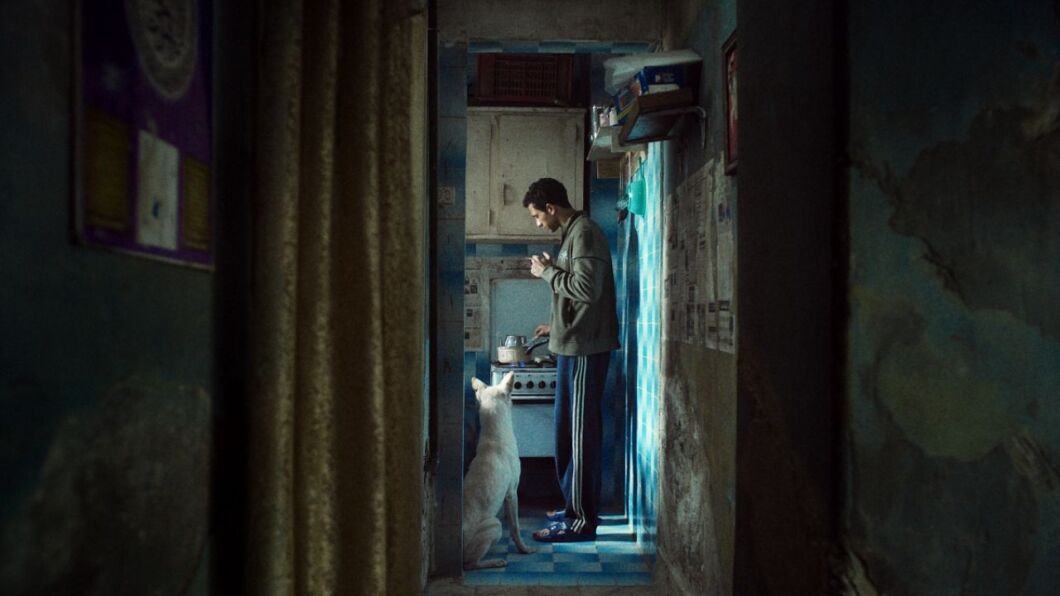 seeking haven for mr rambo cinemana by nyu abu dhabi