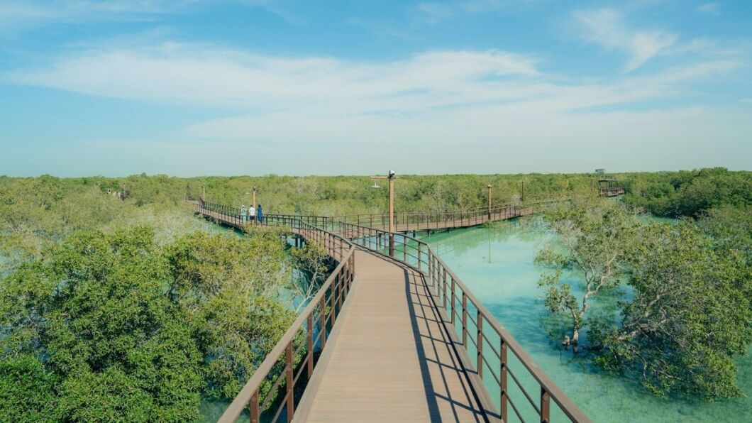 jubail mangrove park abu dhabi